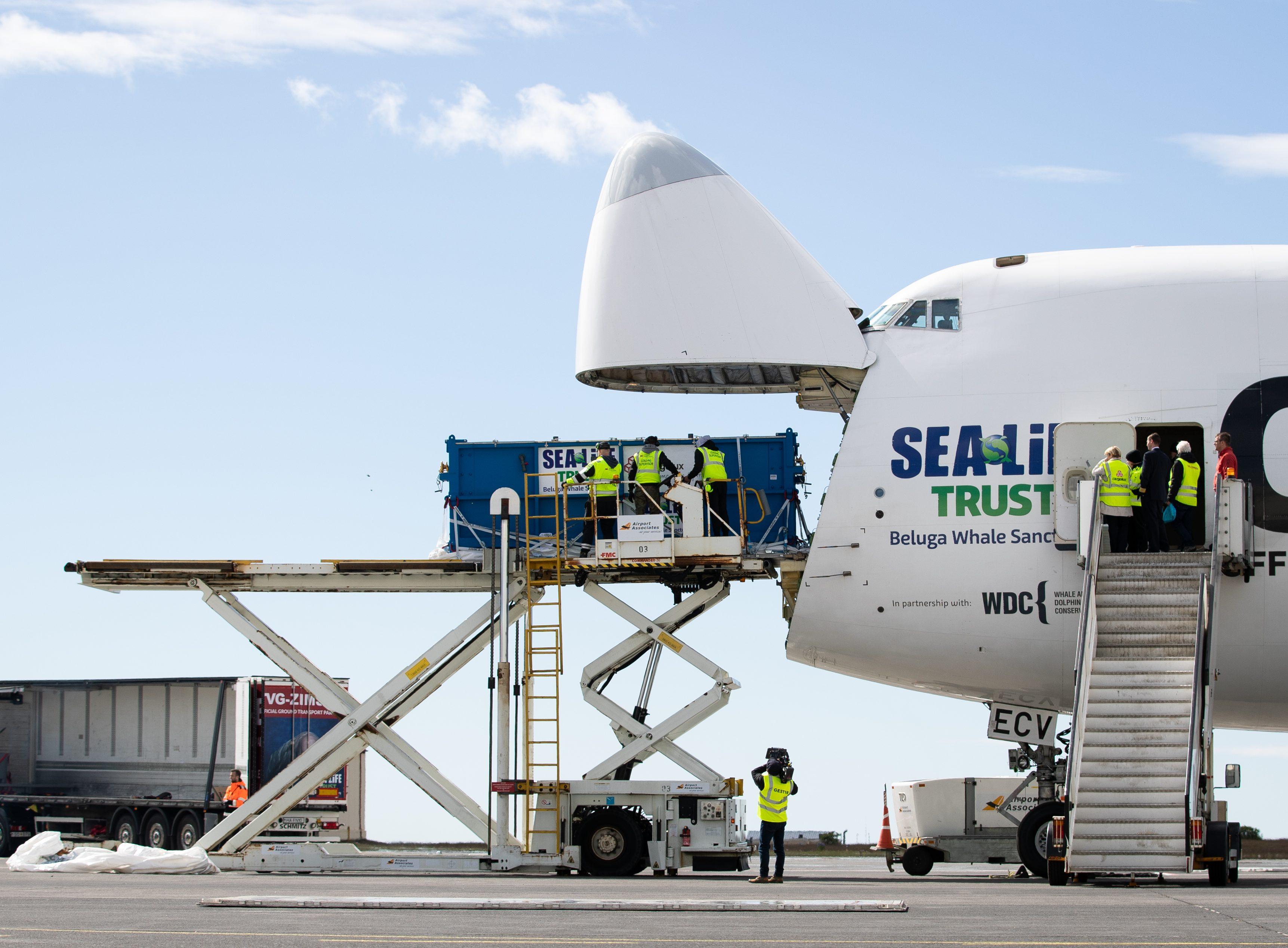 747 400 F LX ECV B Eluga Offload